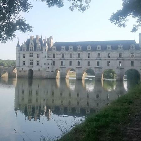 Gite Rural Chenonceaux Francueil Exterior foto